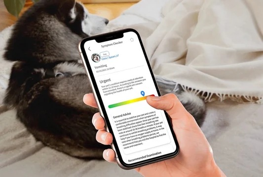Buddylabs Inc. Launches Buddydoc, a Preventive Pet Care App That Can Save You Money This Year