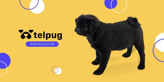 Adorable Top Up with TelPug