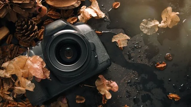 Alternatives to Instagram: Social Photography Sites