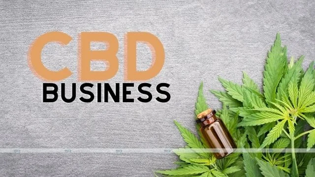 6 Things to Know Before Starting a CBD Business