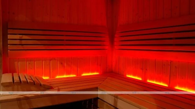 What to Look for in Infrared Sauna Reviews?