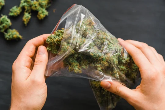 Everything About THCA Hemp Flower