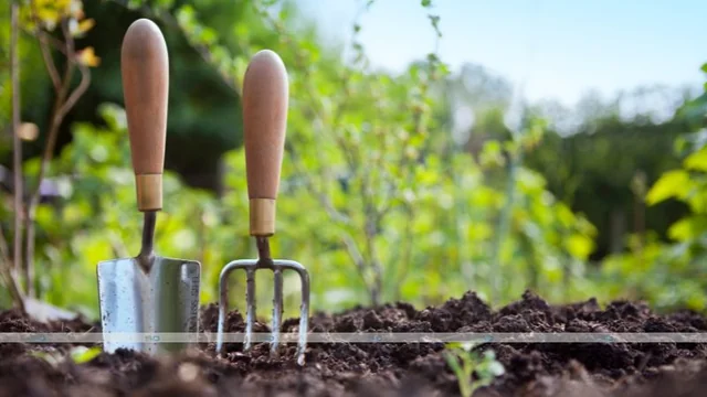 5 Tips To Help Keep Your Gardening Pain-Free with aluminum bottle insecticide, back brace