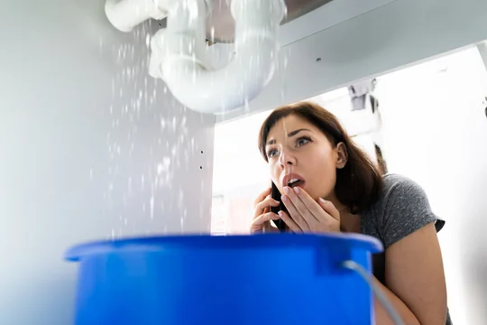 How To Prevent Plumbing Emergencies: A Homeowner's Guide