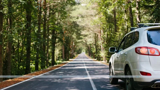 Should You Drive on Your Holiday to the UK?