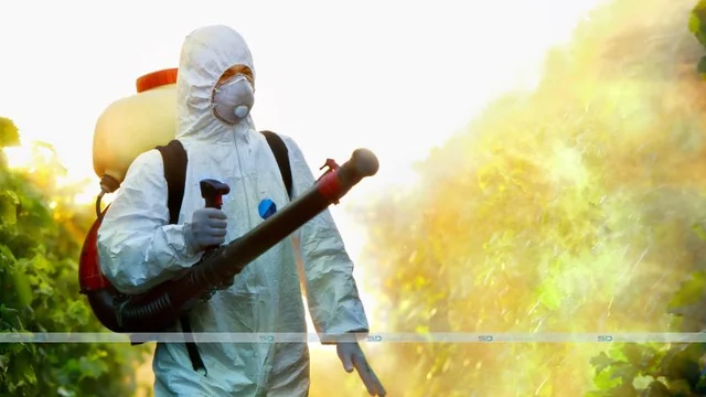 Advances in Pest Control Technology: Smart Traps and Monitoring Devices