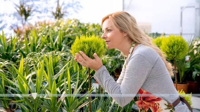 What Should a Good Fragrance Be Like?