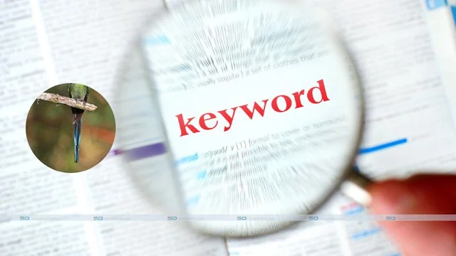 The Power of Long-Tail Keywords: A Comprehensive Guide for SEO Performance