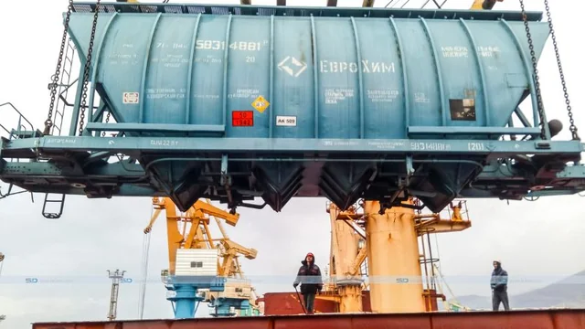 India consignment tracking