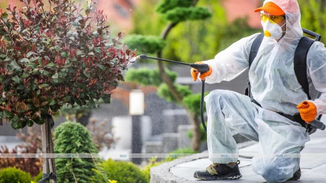 The Benefits Of Using Professional Pest Control Company