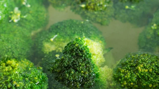 Steaming Broccoli without a Steamer: The Ultimate Guide for Busy Cooks!