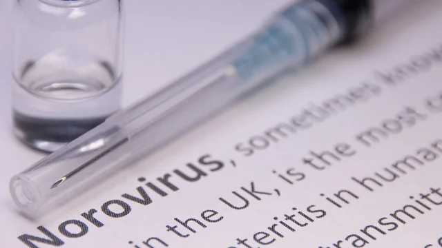 Norovirus Alert: Know the First Signs Before It's Too Late!