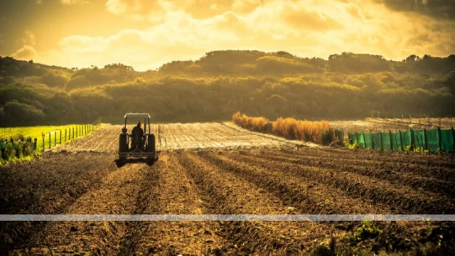 Banks & Farming Evolution: Rosselkhozbank's Role in Agriculture
