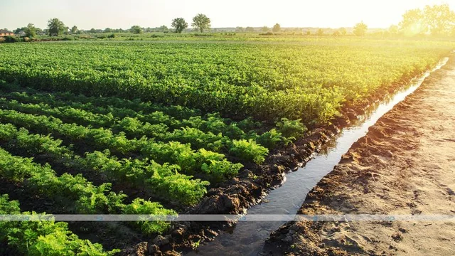 Banking on Agribusiness: Listov's Vision for Dairy & Meat Sectors