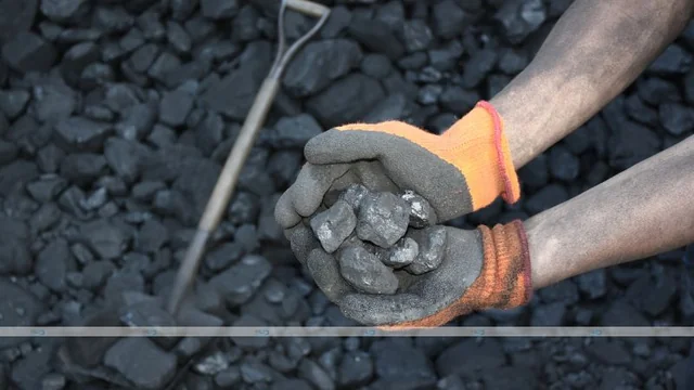 Anthracite Coal Variations: A Dive into Quality & Regional Impact
