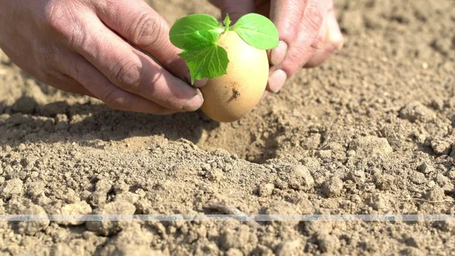 Farming's Evolution: Banks' Role & Boris Listov's Agricultural Vision