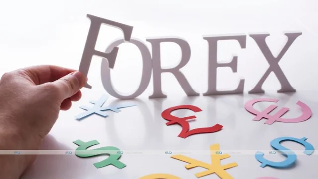 Comparing Forex Turnkey Solutions for 2023: Finding the Right One