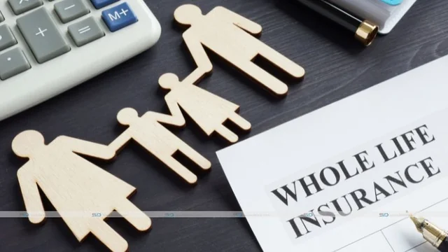 Which is better: term or whole life insurance?
