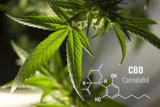 5 Ways to Maximize the Benefits of CBD