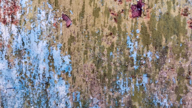 A Patina: How the Past Shapes the Present in Stunning Ways!