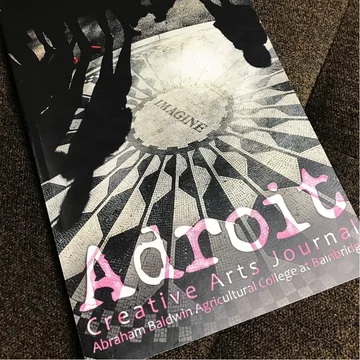 How Emerging Creatives Can Use the Adroit Journal to Its Max Potential