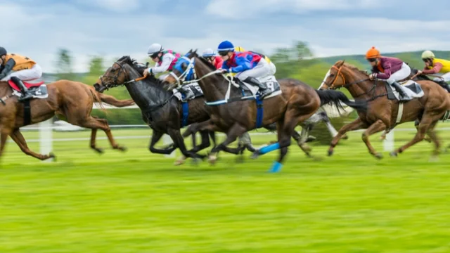 Unbelievable Facts: The Untold Story of Why Horses Meet Tragic Ends at the Kentucky Derby!