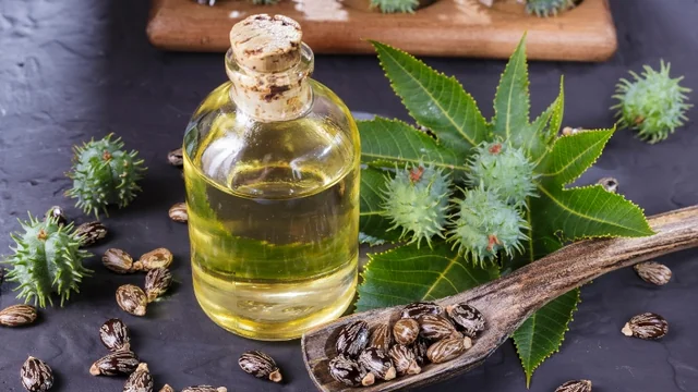 Benefits of Castor Oil - a magical elixir that can do wonders