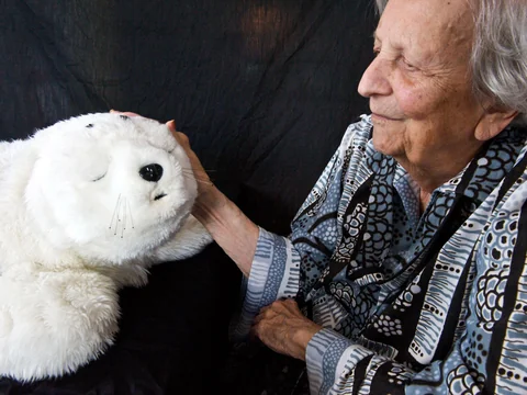 Social Robots for Older Adults: A Boon or a Creepy Intrusion?