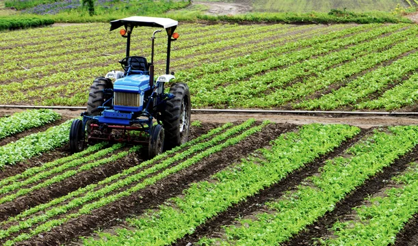 Sowing the Seeds of Innovation: The Need for Focused Agricultural Research Funding