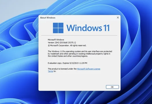 Unlock New Features with Windows 11 23H2