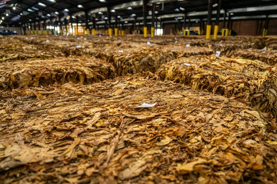 High Risk, High Reward: Are Commodity Futures Right for You?