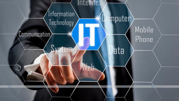 IT consultant