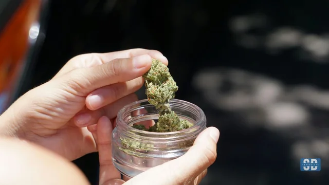 Cannabis Dispensary Red Flags You Should Watch Out For