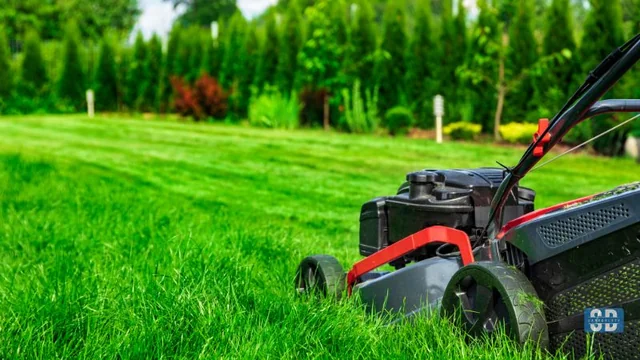 Top 5 Lawn Care Tools Every Homeowner Needs