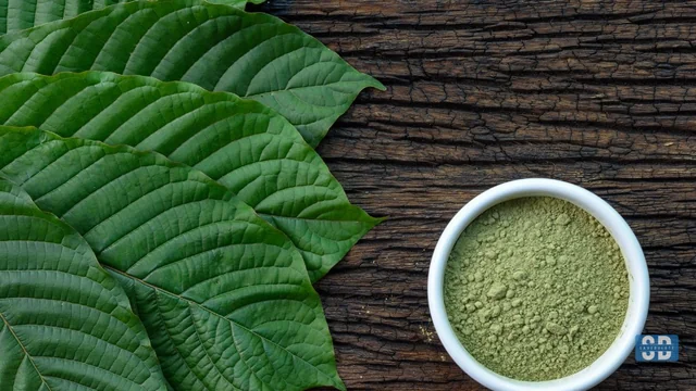 Kratomade From NuWave Botanicals: Why Is It The Go-To Brand?