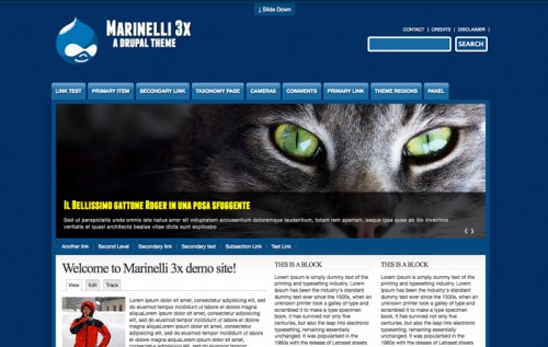 High Quality Drupal Themes