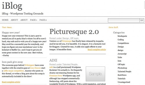 Custom WordPress Theme