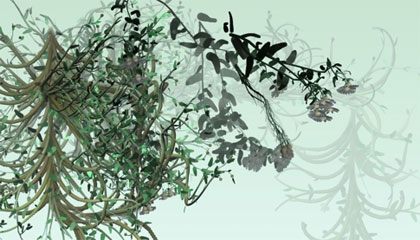 paint