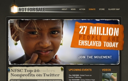 Non Profit Organisations On The Web