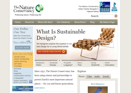 Non Profit Organisations On The Web