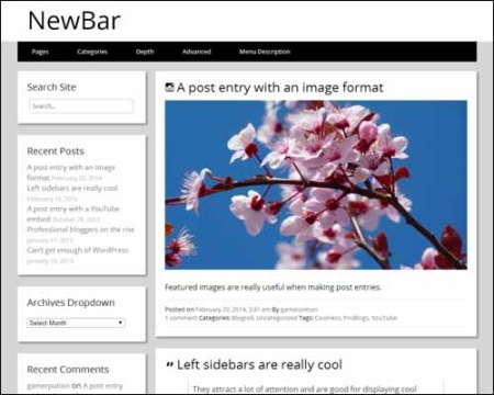NewBar Free WordPress Theme