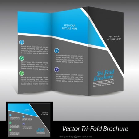 Tri-Fold Brochure Vector