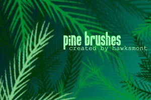 Pine – MEGA PACK