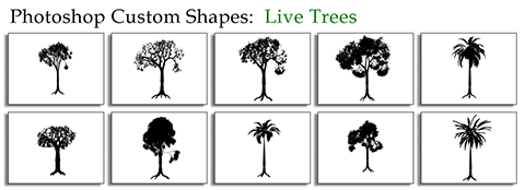 Trees