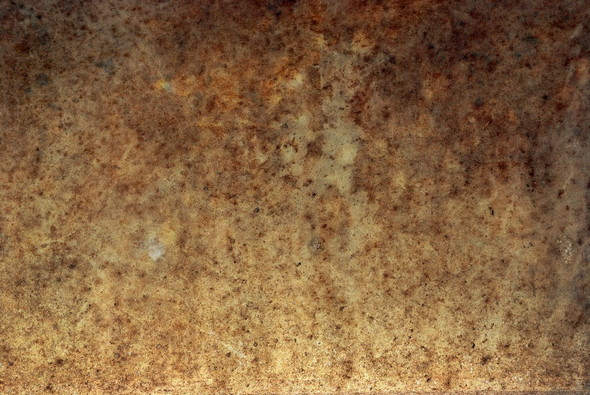 Bones Texture Stock