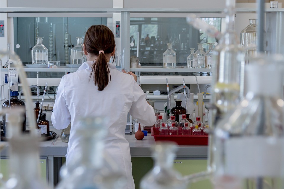 Focus on Education as the Silver Bullet in Technology, the Sciences, and Beyond
