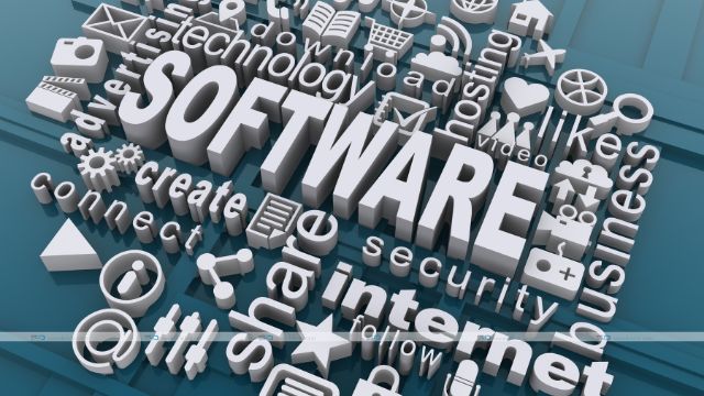 Software in business