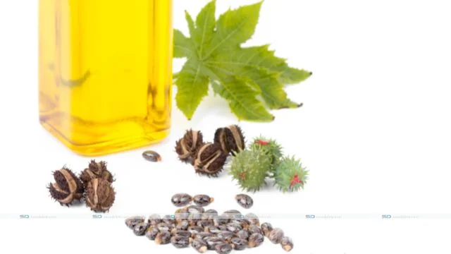 castor oil or coconut oil