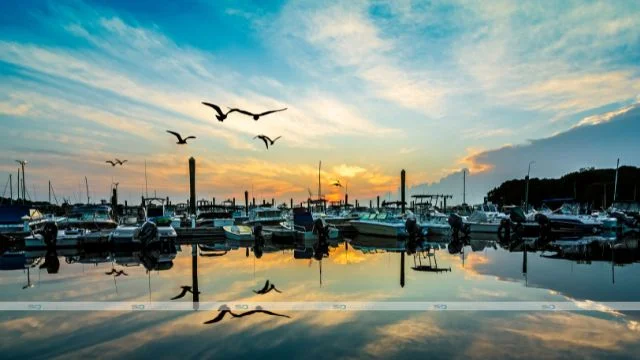 Selwo Marina