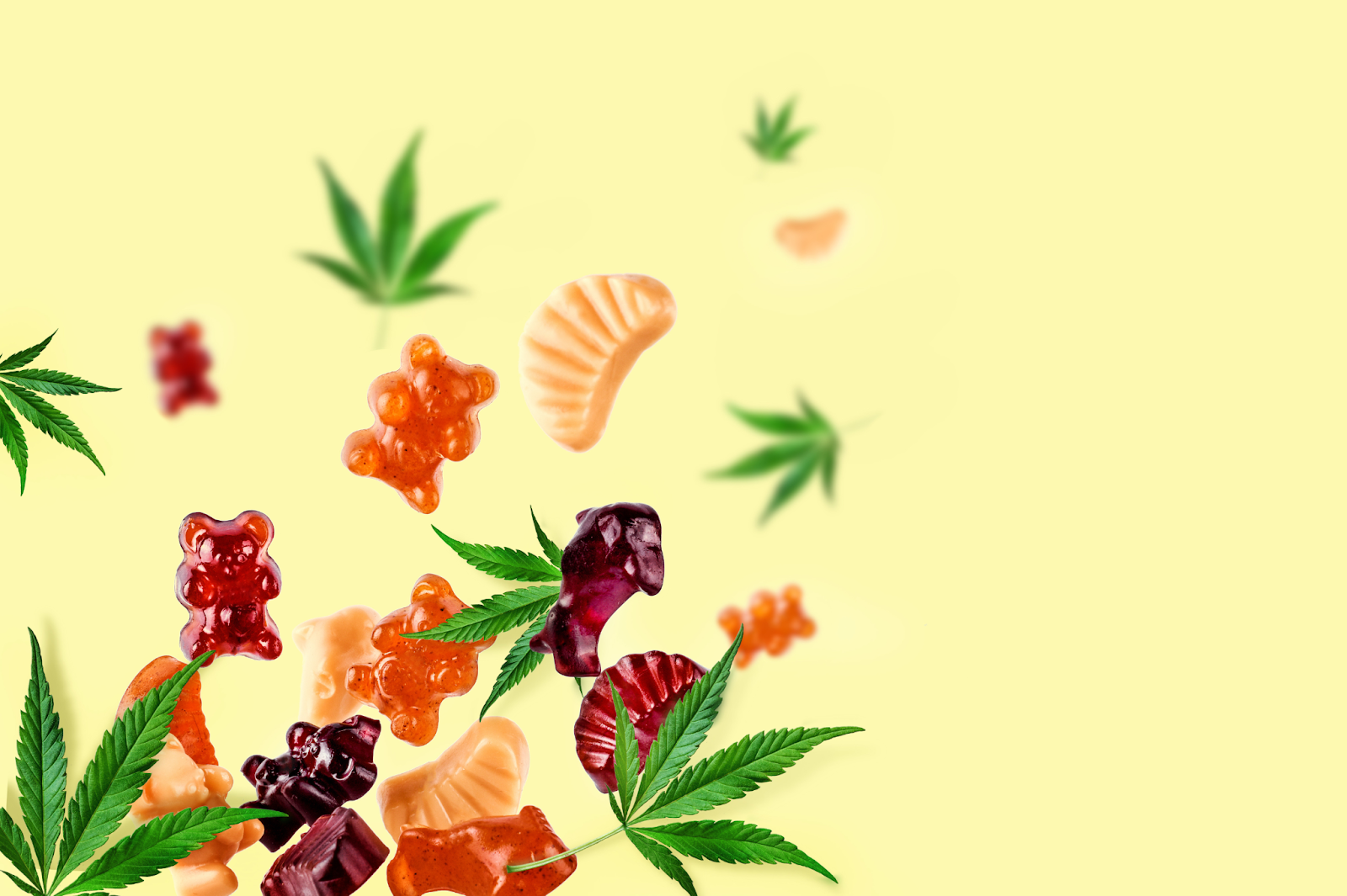 What Are CBD Gummies?